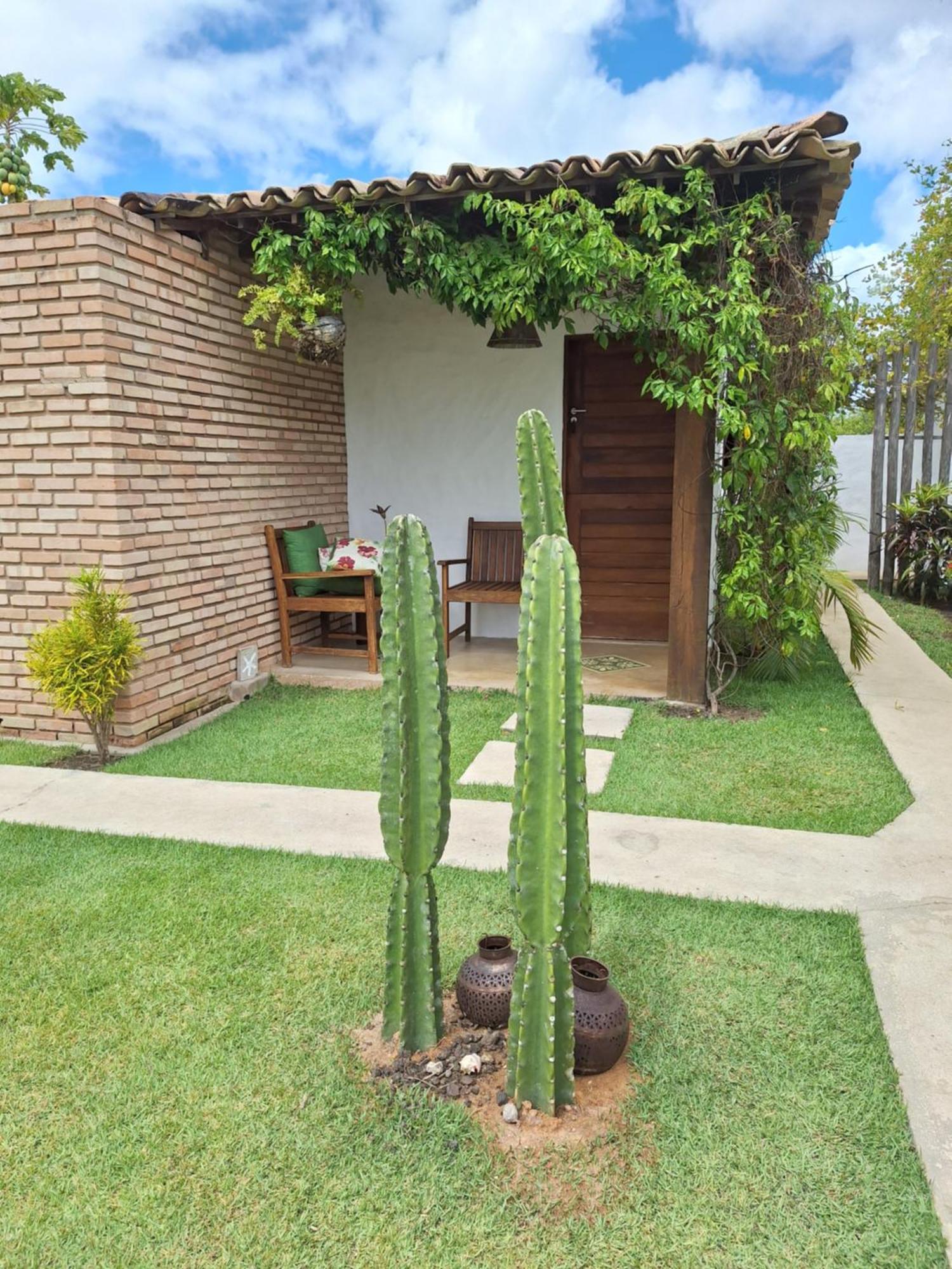 Arataba Hotel Boutique E Bistro - 150 Mts Do Mar Pôrto de Pedras Eksteriør bilde